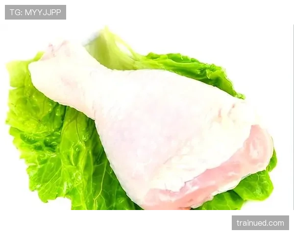 防守犯规的判罚标准与常见误区解析