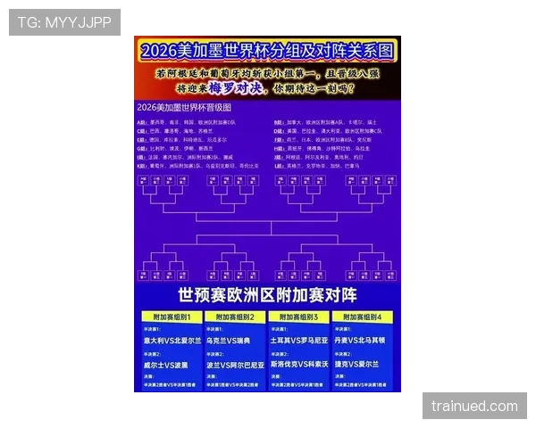 波黑冲击2026世界杯:晋级前景、阵容解析与出线形势分析