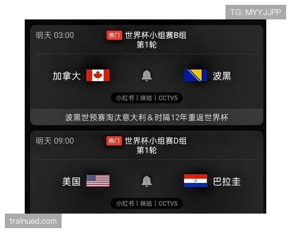 世界杯B组加拿大球迷热议出线前景